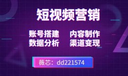 创业短视频 热点爆料,行业动态与创业机遇一网打尽
