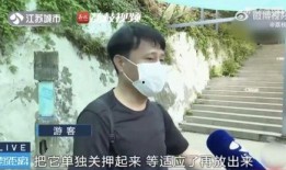 男朋友看网红吃瓜视频,揭秘娱乐圈幕后故事